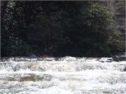 Spring Creek 53